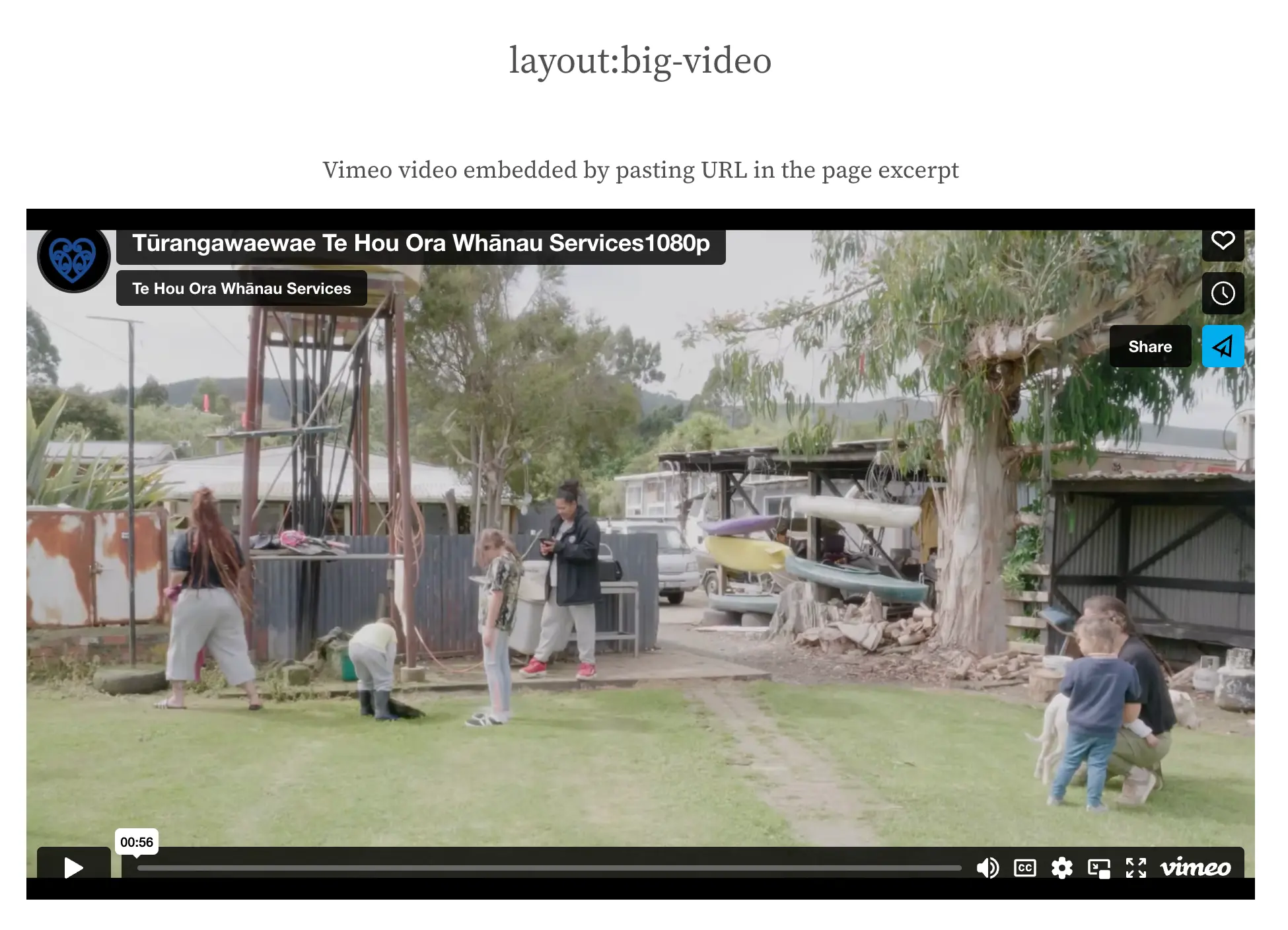 Vimeo embed player