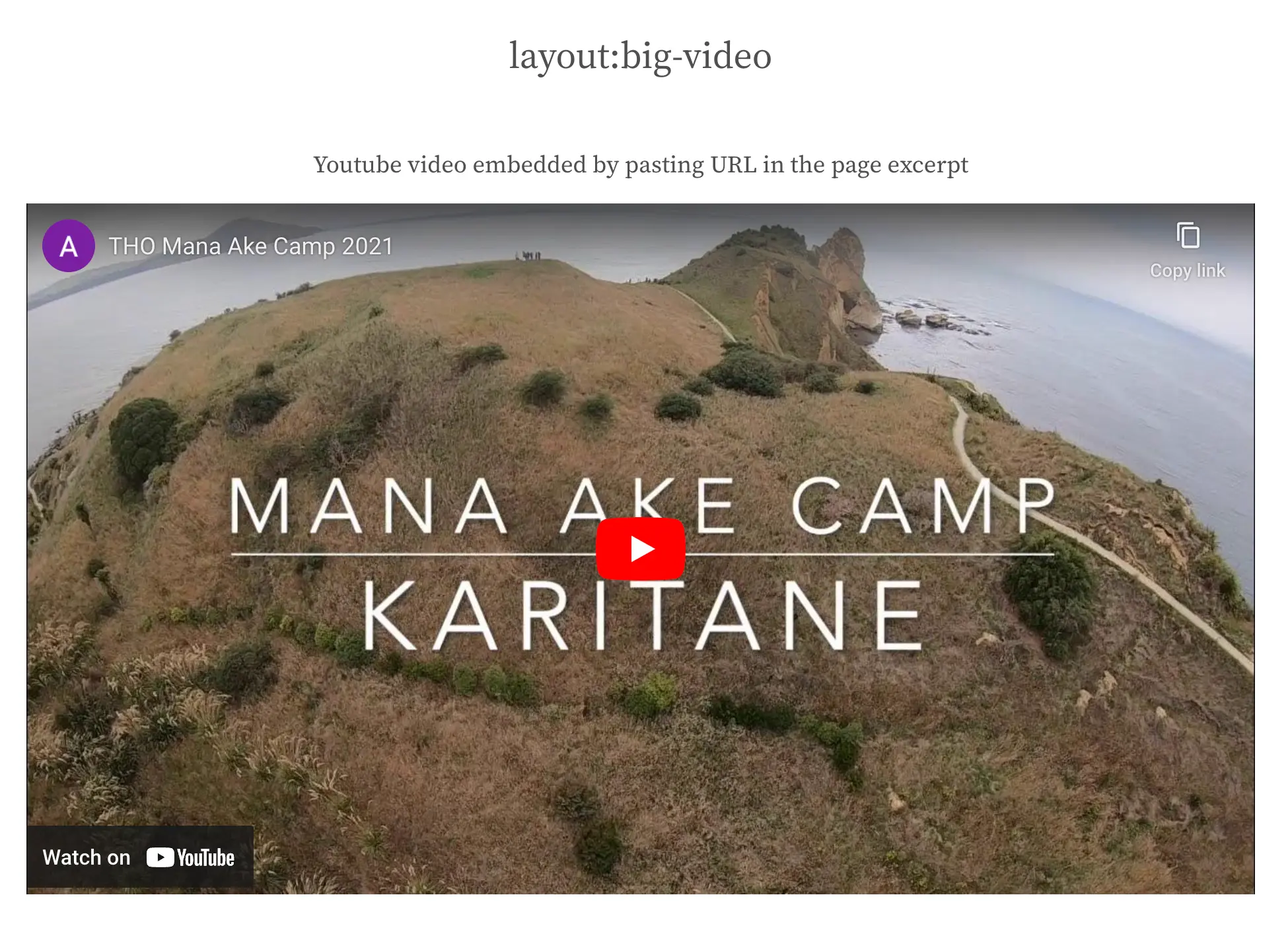 YouTube embed player