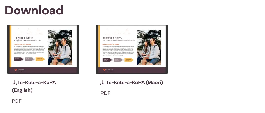 Screenshot of the example Download section for scenario described above.